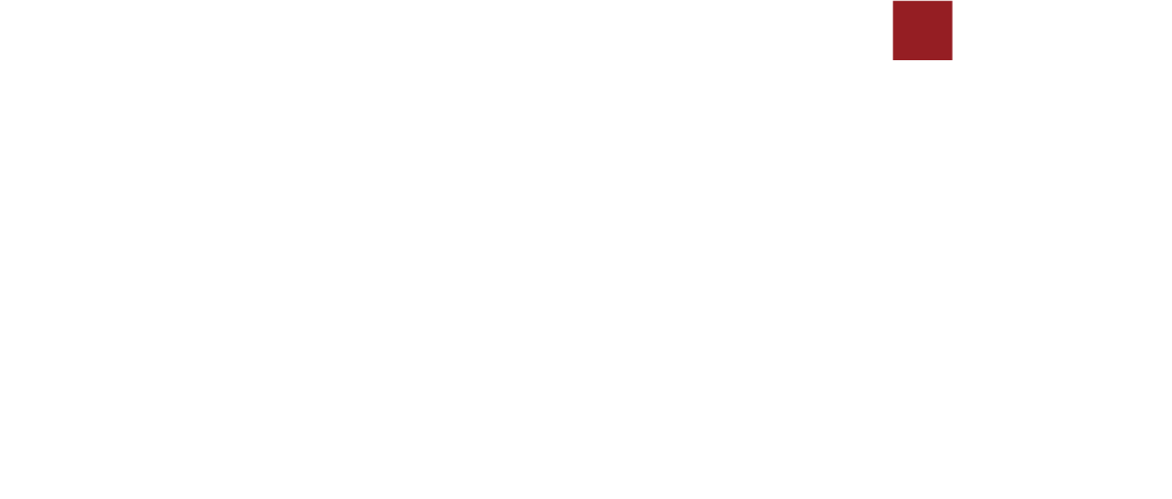 卫星互联网应用提供商 Logo